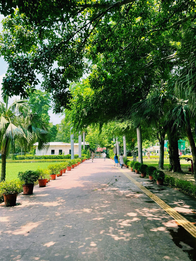 歷史寶藏，新德里國家博物館｜探索印度歷史的豐富遺產。