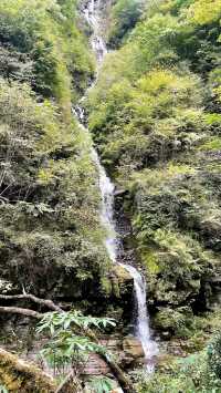 人生是狂野，而非軌道。