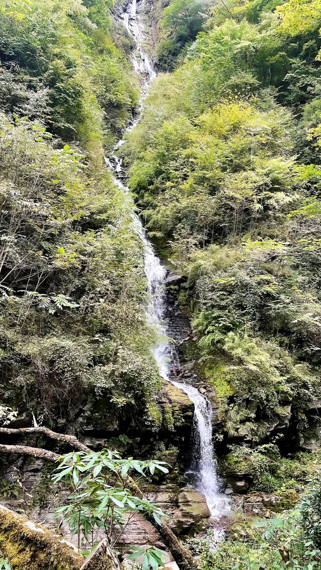 人生是狂野，而非軌道。
