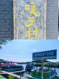白洋淀位於中國河北省雄安新區安新縣。