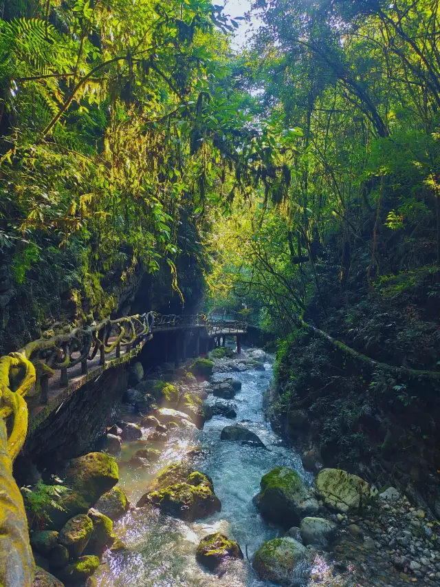 Bashan Grand Canyon | Stunning Scenery, Have You Been? 