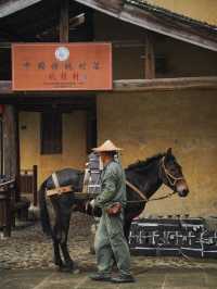 人生建議 不要錯過十月的梯田瀑布，美得令人落淚。