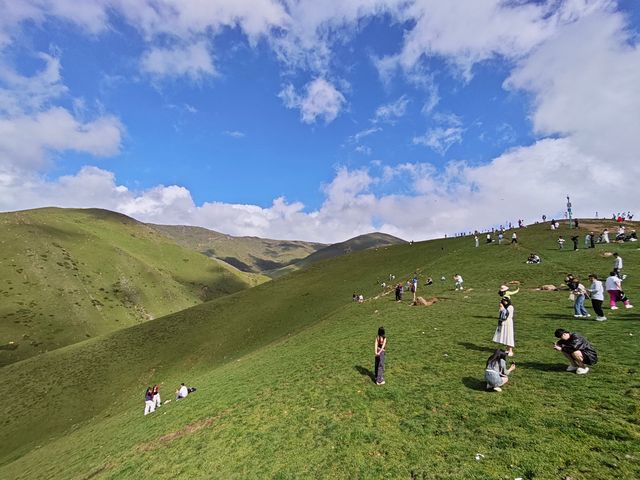 藍天白雲，陽光普照。山花浪漫，河水清清。