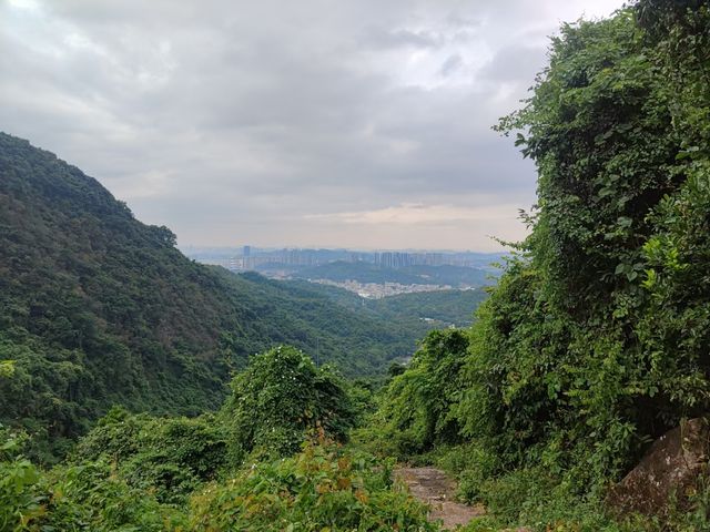 深圳市園山風景區。