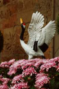 又到了醉白池最美的季節。