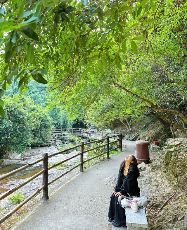 深圳超適合 i 人的吸氧徒步綠蔭棧道。