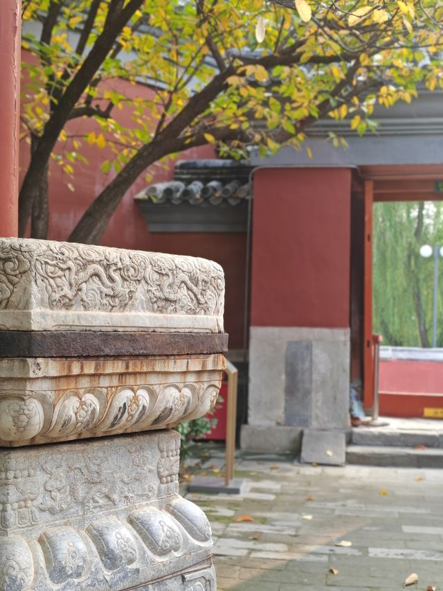 多彩京秋－萬壽寺。