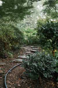 上海1%人才知道的古典園林賞菊好去處！。