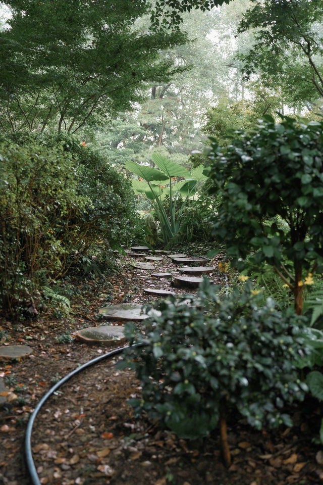 上海1%人才知道的古典園林賞菊好去處！。
