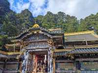 Travel Experience to Nikko's Toshogu Shrine on November 3rd