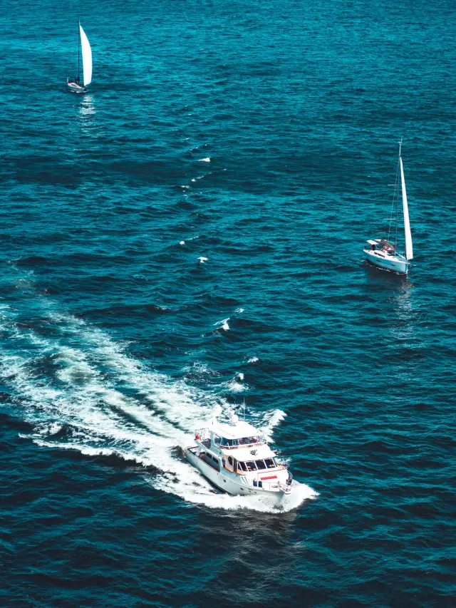 호주 10일 여행 초상세 가이드가 왔습니다. 빨리 확인하세요.