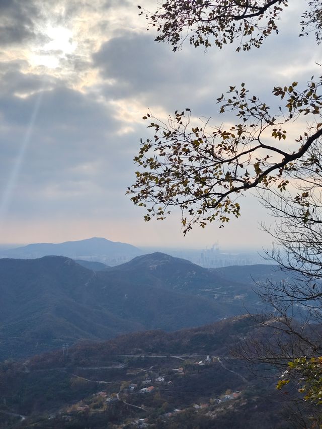 來花果山看猴王了。