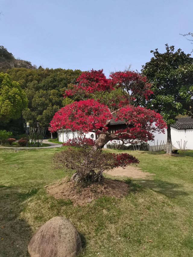 溫州2日秋遊 玩轉美景不踩坑。