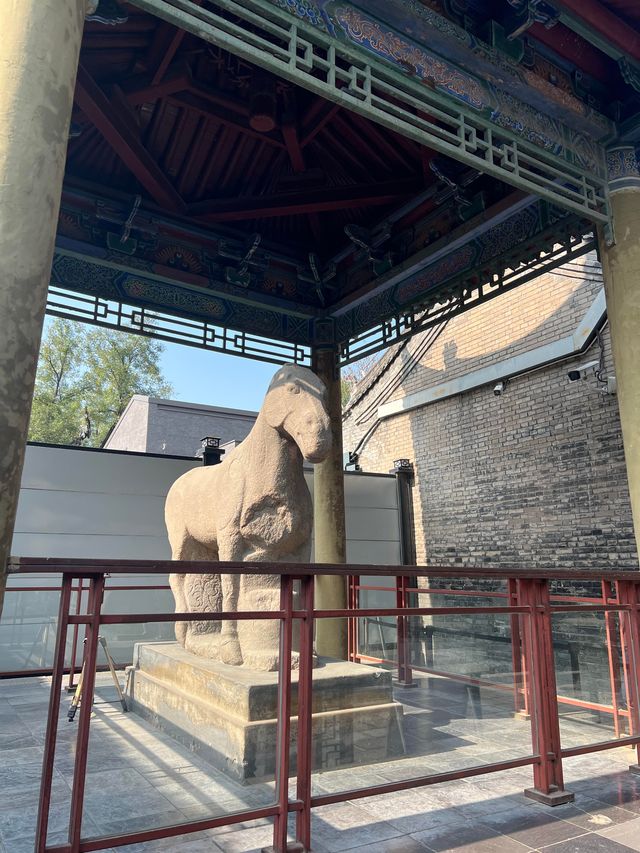 西安碑林博物館｜書法愛好者的終極朝聖地。