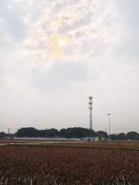 週末不知道去哪裡就來嘉北郊野公園放鬆下心情吧！