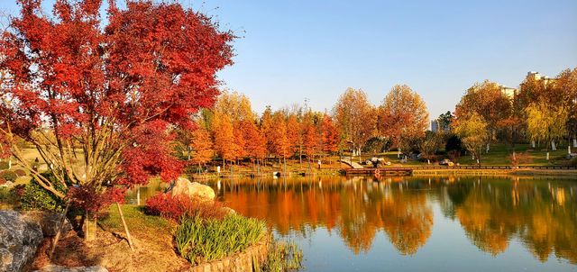 真的不想叫你來這裡｜梅隴生態公園