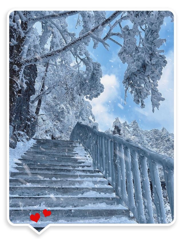 年年落雪 落雪年年光霧山