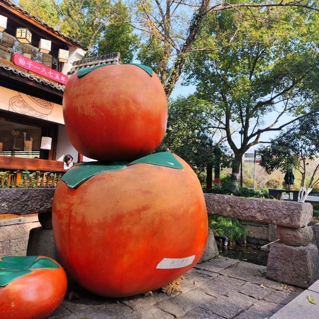 冬日不一樣的西溪湿地公園
