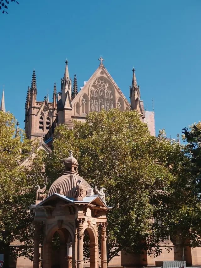 8-Day Australia Tour: Detailed Guide