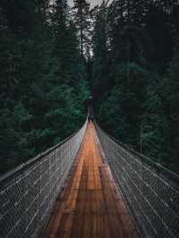 Discover the Capilano Suspension Bridge in Vancouver