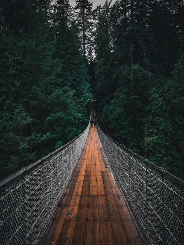 Discover the Capilano Suspension Bridge in Vancouver