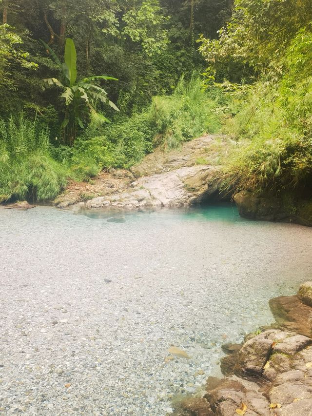 峨眉山2日深度遊 玩轉全山不打烊