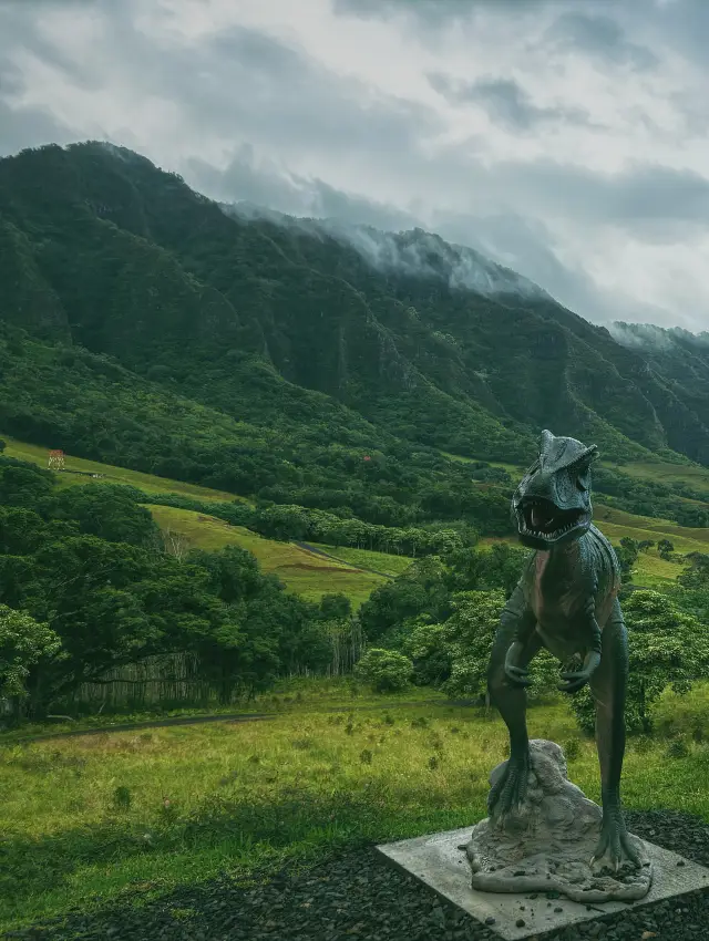 Welcome to the tropical rainforest! Kualoa Ranch!