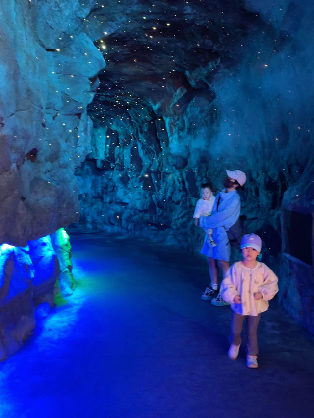 帶娃去了N次的長隆動物園遊玩攻略總結