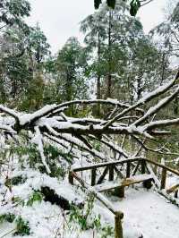 冬天的雅安 2天遊讓你愛上雪景