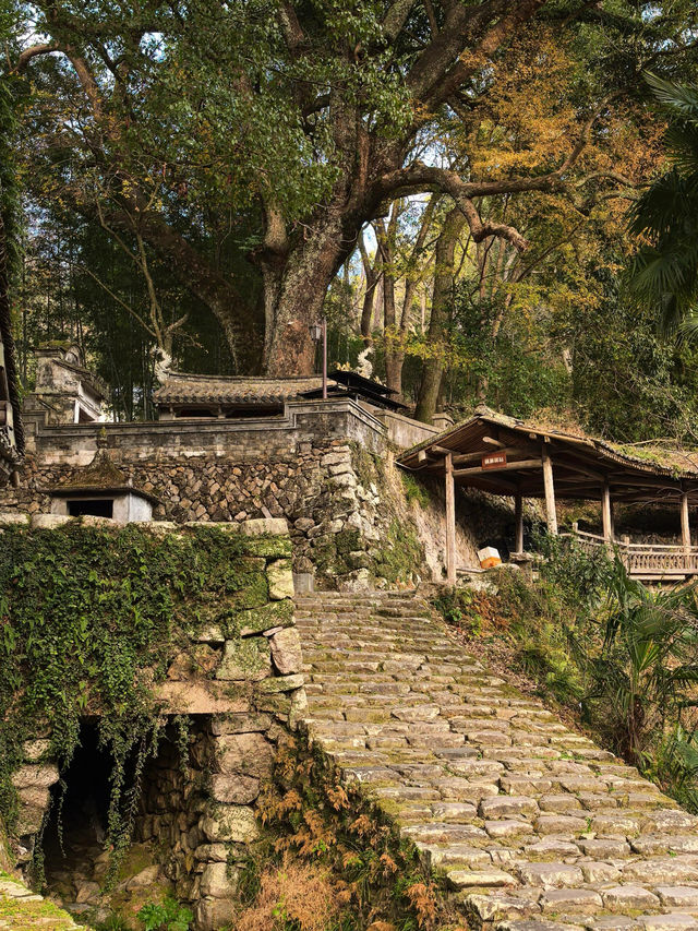 溫州永嘉埭頭古村 ———山水有相逢！