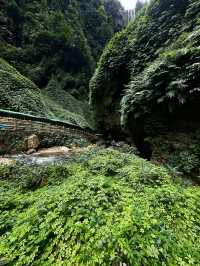 6天玩轉廣西南寧-通靈峽谷 超詳細攻略來啦