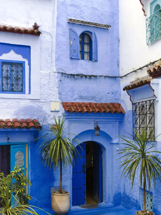 5-Day Morocco Winter Travel Guide: Stunning Snow Scenery