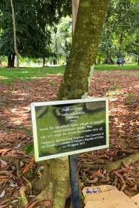 the Royal Botanical Gardens in Kandy, Sri Lanka