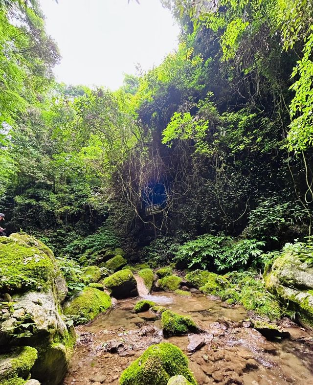 自然風光旖旎生態保持完好之地～襄陽翡翠峽