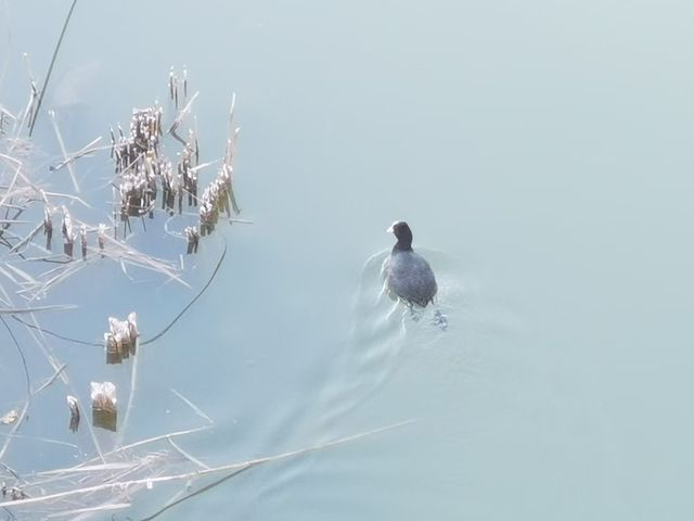 陝西三原的古龍橋