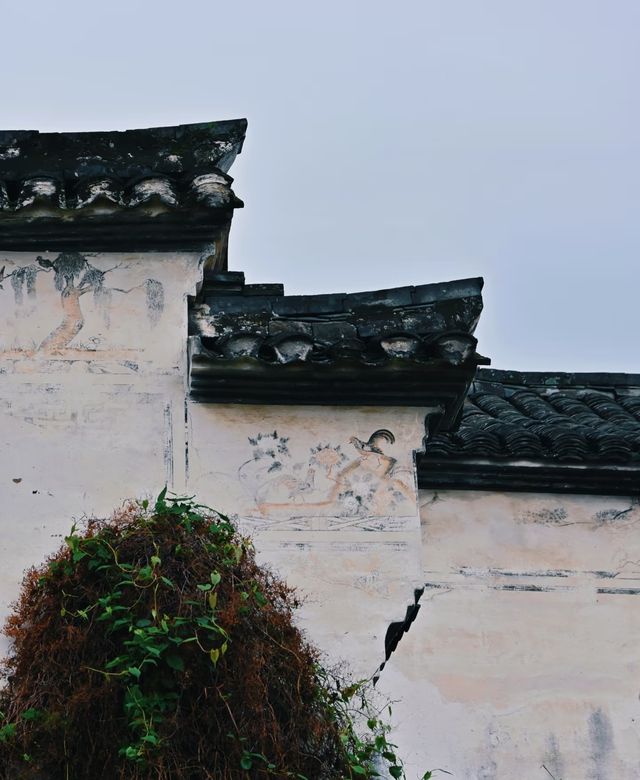人生建議：來紹興旅行一定要留一天給古村落