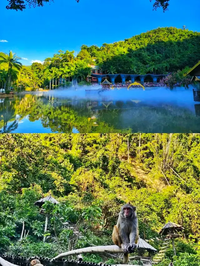 อุทยานป่าดงดิบสิบสองปันนา