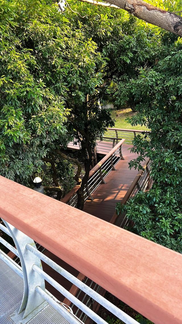 立新湖公園