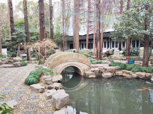 冬天的曲水園 冬天的曲水園