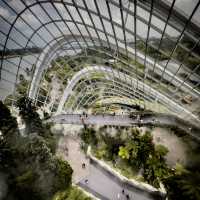 Cloud Forest is a MUST SEE!