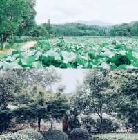 江浙滬周邊遊| 詩意濃厚的清漾古村