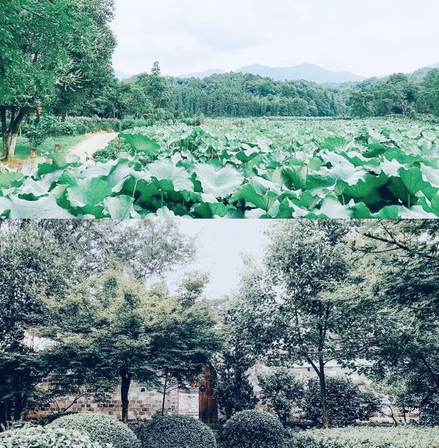 江浙滬周邊遊| 詩意濃厚的清漾古村