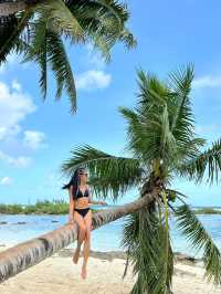 🏄‍♀️ Get Board @ Cloud 9 - Literally and Figuratively!🤪