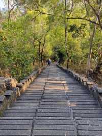 深圳南山公園看日落 心得體會