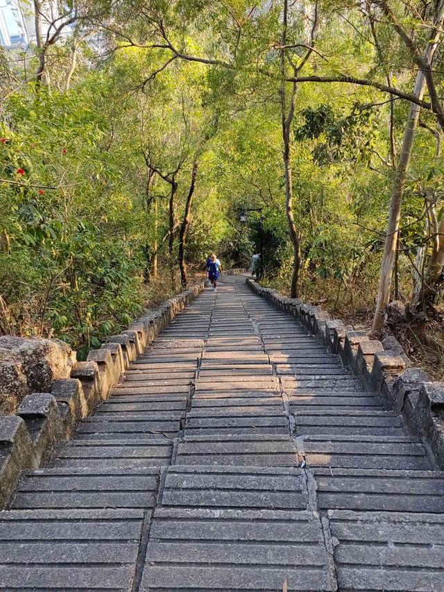 深圳南山公園看日落 心得體會