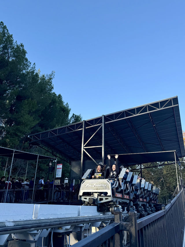 Ultimate Guide to Riding All 15 Roller Coasters at Six Flags Magic Mountain