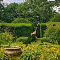 英國斯蒂文尼奇內布沃斯莊園：探索英倫古堡與美麗花園