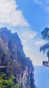 "大瑤山盤王界：這裡的雲海和佛光，真的能讓你震撼嗎？"