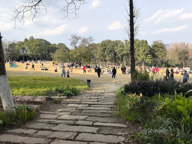 天氣好去植物園walk一下～