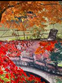 廣州出發1.5h直達廣東紅色天花板
